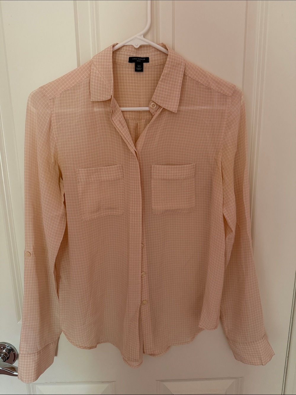 Ann Taylor Sheer Light Pink Button-Front 100% Silk Dress Shirt